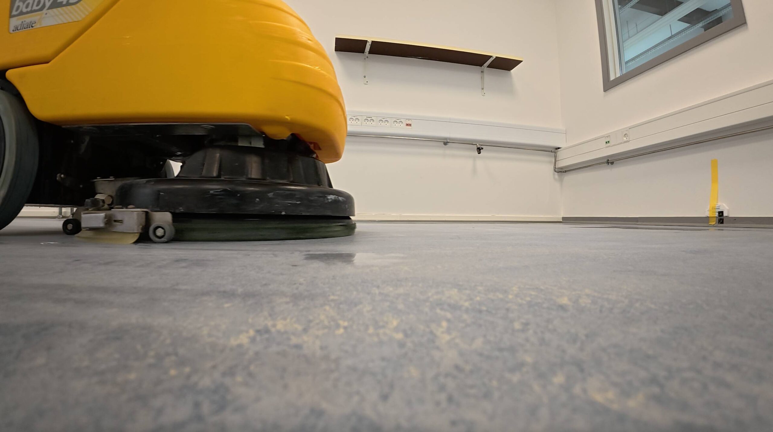 grundrens til linoleum